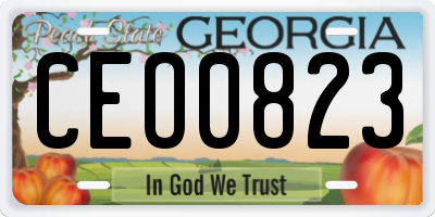 GA license plate CEO0823