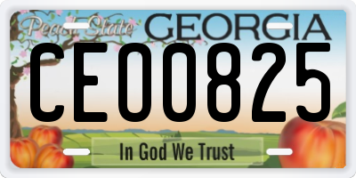 GA license plate CEO0825