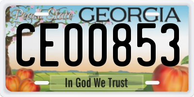 GA license plate CEO0853