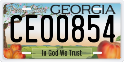 GA license plate CEO0854