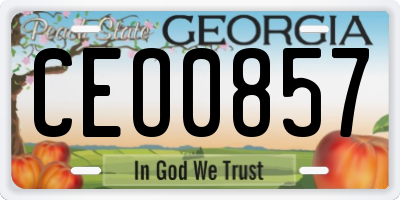 GA license plate CEO0857