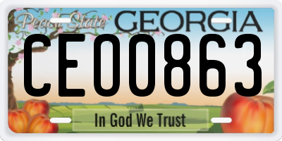 GA license plate CEO0863