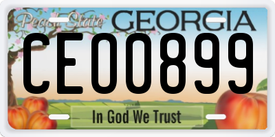 GA license plate CEO0899