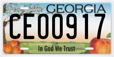 GA license plate CEO0917
