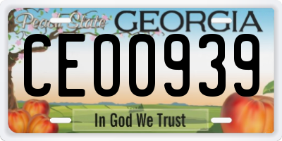 GA license plate CEO0939