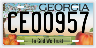 GA license plate CEO0957