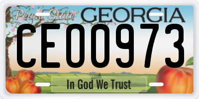 GA license plate CEO0973