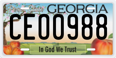 GA license plate CEO0988