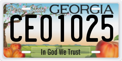 GA license plate CEO1025
