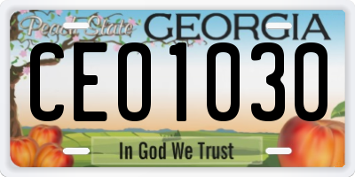 GA license plate CEO1030