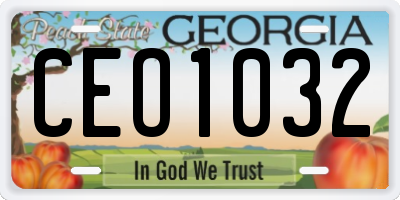 GA license plate CEO1032