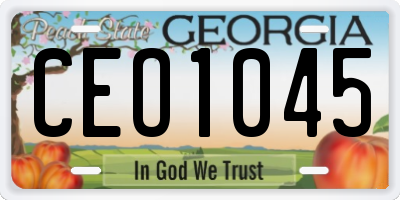 GA license plate CEO1045