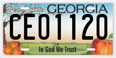 GA license plate CEO1120