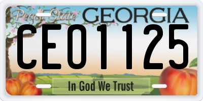 GA license plate CEO1125