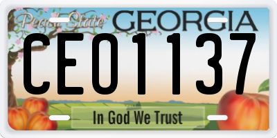 GA license plate CEO1137
