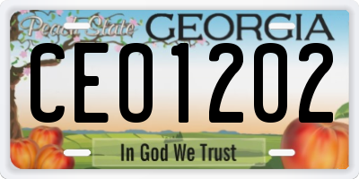 GA license plate CEO1202