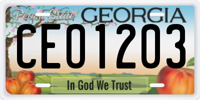 GA license plate CEO1203