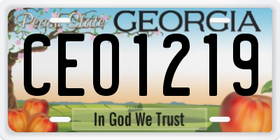 GA license plate CEO1219