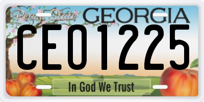 GA license plate CEO1225