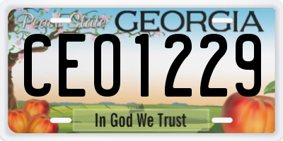 GA license plate CEO1229