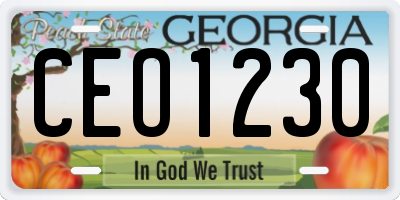 GA license plate CEO1230