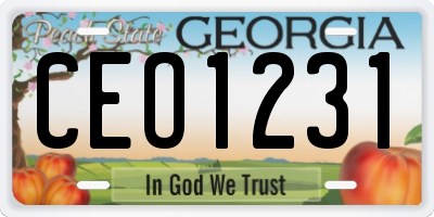 GA license plate CEO1231
