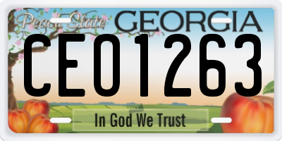 GA license plate CEO1263