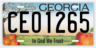 GA license plate CEO1265