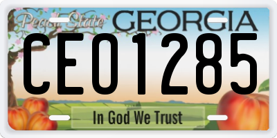 GA license plate CEO1285