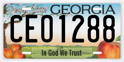 GA license plate CEO1288