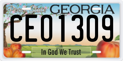 GA license plate CEO1309