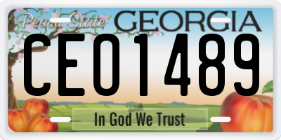 GA license plate CEO1489