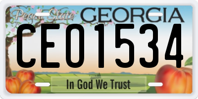 GA license plate CEO1534