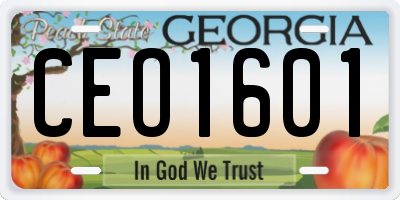 GA license plate CEO1601