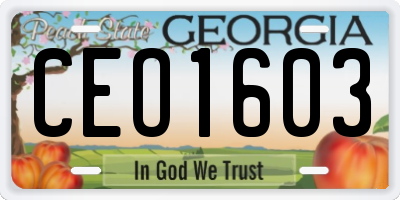 GA license plate CEO1603
