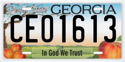 GA license plate CEO1613