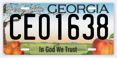 GA license plate CEO1638