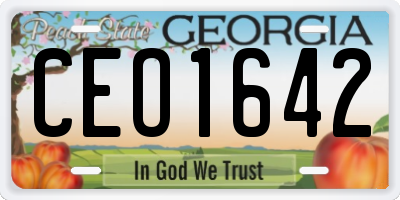 GA license plate CEO1642