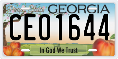 GA license plate CEO1644