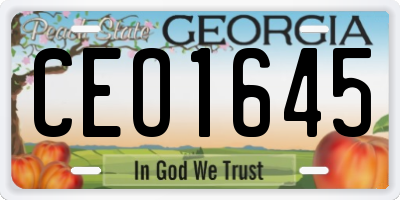 GA license plate CEO1645