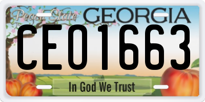GA license plate CEO1663
