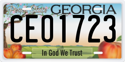 GA license plate CEO1723