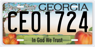 GA license plate CEO1724