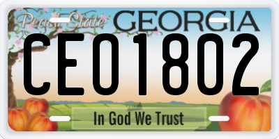 GA license plate CEO1802