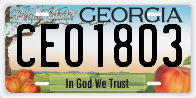 GA license plate CEO1803