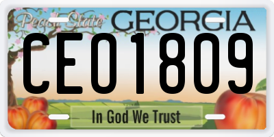 GA license plate CEO1809