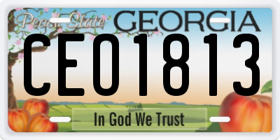 GA license plate CEO1813