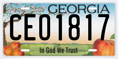 GA license plate CEO1817