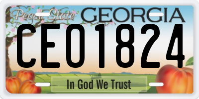 GA license plate CEO1824