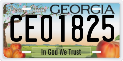 GA license plate CEO1825